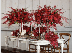 Screen Shot 2017-04-28 at 7.31.39 PM